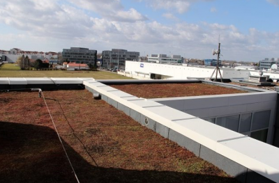 Zielony dach konstrukcja - tectumgroup.pl